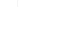 Light Logo